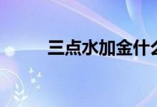 三点水加金什么字（三点水加金）