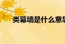 类幕墙是什么意思（幕墙是什么意思）