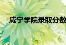 咸宁学院录取分数线（咸宁学院分数线）