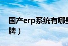 国产erp系统有哪些品牌（erp软件有哪些品牌）