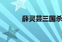 薛灵芸三国杀十周年(薛灵芸)