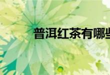 普洱红茶有哪些品种（普洱红茶）