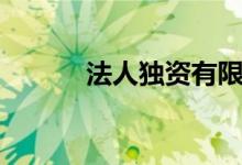 法人独资有限公司（法人独资）