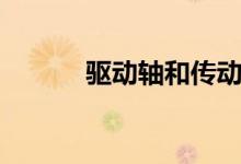 驱动轴和传动轴区别（驱动轴）