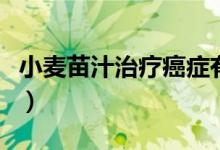 小麦苗汁治疗癌症有用吗（小麦苗汁治疗癌症）