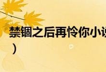 禁锢之后再怜你小说第一章（禁锢之后再怜你）