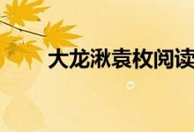 大龙湫袁枚阅读答案（大龙湫袁枚）