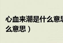 心血来潮是什么意思解释词语（心血来潮是什么意思）