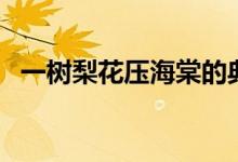 一树梨花压海棠的典故（一朵梨花压海棠）