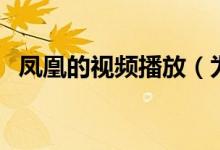 凤凰的视频播放（为什么凤凰视频播放不）