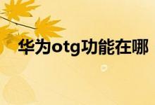 华为otg功能在哪（otg功能是什么意思）