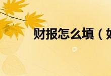 财报怎么填（如何填写财务报表）