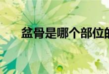 盆骨是哪个部位的（盆骨是哪个部位）