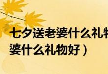 七夕送老婆什么礼物好最有意义呢（七夕送老婆什么礼物好）