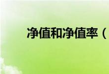 净值和净值率（净值和净额的区别）