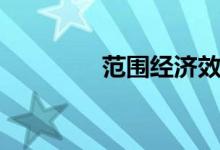 范围经济效应（范围经济）