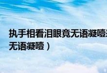 执手相看泪眼竟无语凝噎表达了什么感情（执手相看泪眼竟无语凝噎）