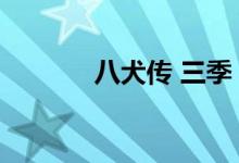 八犬传 三季（八犬传第三季）