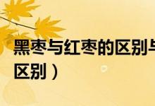 黑枣与红枣的区别与作用（黑枣和红枣的功效区别）