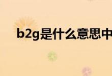 b2g是什么意思中文（b2g是什么意思）