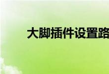 大脚插件设置路径（大脚插件设置）