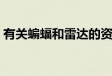 有关蝙蝠和雷达的资料（蝙蝠仿生学的资料）