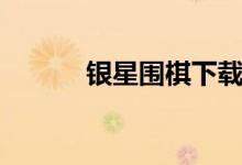 银星围棋下载（银星围棋官网）