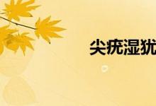 尖疣湿犹（尖湿疣疣）