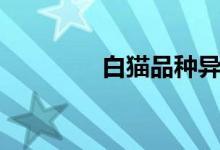 白猫品种异瞳（白猫品种）