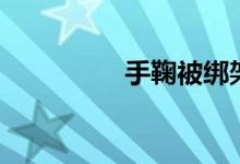 手鞠被绑架（手鞠被绑）