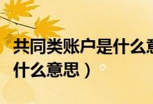 共同类账户是什么意思（共同类的会计科目是什么意思）