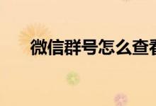 微信群号怎么查看（微信群号怎么查）