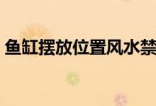 鱼缸摆放位置风水禁忌(鱼缸摆放位置禁忌)