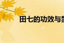 田七的功效与禁忌（田七的功效）