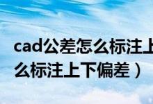 cad公差怎么标注上下偏差2014（cad公差怎么标注上下偏差）