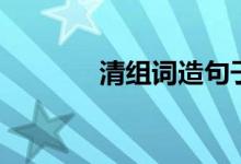 清组词造句子大全（清组词）