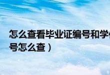 怎么查看毕业证编号和学位证编号（毕业证编号和学位证编号怎么查）