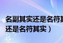 名副其实还是名符其实哪个正确符（名副其实还是名符其实）