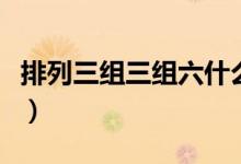 排列三组三组六什么意思（组三组六什么意思）
