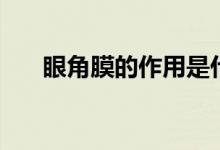 眼角膜的作用是什么（眼角膜的作用）