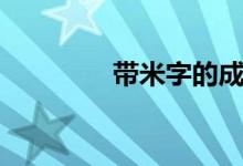 带米字的成语（带米的字）