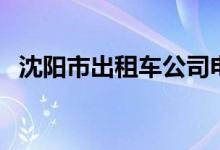沈阳市出租车公司电话（沈阳出租车价格）