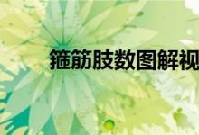 箍筋肢数图解视频（箍筋肢数图解）