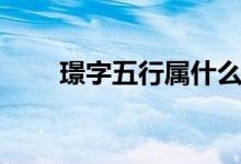 璟字五行属什么（王字五行属什么）