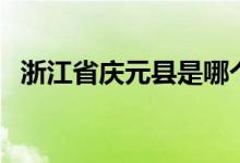 浙江省庆元县是哪个市（庆元县是哪个市）