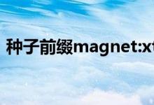 种子前缀magnet:xt=urn:btih（种子前缀）