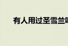 有人用过圣雪兰吗（圣雪兰是假牌子）