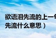 欲语泪先流的上一句（物是人非事事休欲语泪先流什么意思）