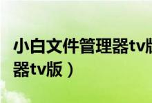 小白文件管理器tv版家庭网络（小白文件管理器tv版）