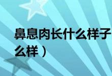 鼻息肉长什么样子图片 图片库（鼻息肉长什么样）